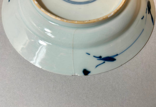 Kangxi leaping Dragon and Fish plate -  Qing Chinese Porcelain